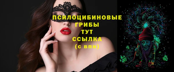 кристаллы Осинники