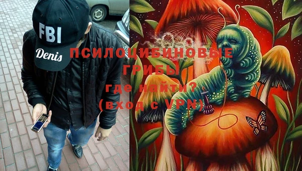гашик Абаза