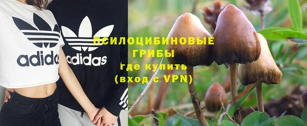 гашик Абаза