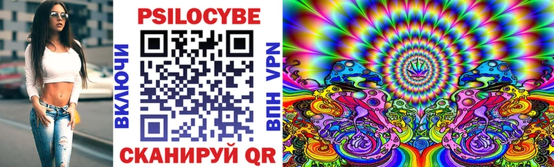 гидра зеркало Нариманов мориарти как зайти Галлюциногенные грибы Cubensis